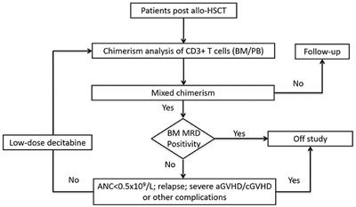 Low-Dose Decitabine Monotherapy Reverses Mixed Chimerism in Adult Patients After Allogeneic Hematopoietic Stem Cell Transplantation With Myeloablative Conditioning Regimen: A Pilot Phase II Study